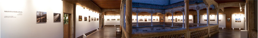 Panor&aacute de la exposicion