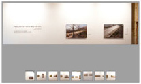 Panor&aacute de la exposicion